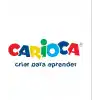 Carioca Keçeli Kumaş Boya Kalemi Fine 10Lu