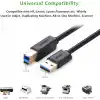 Ugreen 10372 2m USB A USB B fişi siyah - USB A USB B 3.0 (3.1 Gen 1), siyah