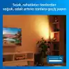 Philips Smart Lighting Squire Lite Akıllı Masa Lambası - Siyah - Google Home, Alexa, HomeKit ve Matter uyumlu