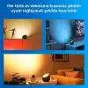 Philips Smart Lighting Squire Lite Akıllı Masa Lambası - Siyah - Google Home, Alexa, HomeKit ve Matter uyumlu