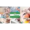 BIC Marker 2300 Kesik Uçlu Permanent Markör, Siyah,
