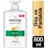 PANTENE Güç ve Parlaklık Şampuan 800 ml