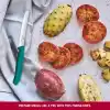 Victorinox 6.7834.C1 Swiss Classic 11cm Tırtıklı Domates Bıçağı, Yeşil
