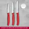 Victorinox 6.7111.34C1 Swiss Classic 3lü Bıçak Set, Kırmızı