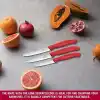 Victorinox 6.7111.34C1 Swiss Classic 3lü Bıçak Set, Kırmızı