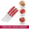 Victorinox 6.7111.34C1 Swiss Classic 3lü Bıçak Set, Kırmızı