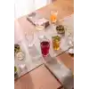 Paşabahçe SERENITY MEŞRUBAT-LONG DRINK 265 CC T 3
