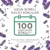 Air Wick Elektrikli Oda Kokusu Esansiyel Yağlar Cihaz + Yedek Şişe Lavanta