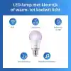Philips Smart Lighting LED Ampul A60 E27 100W Eşdeğer RGB 2li Paket - Google Home, Alexa, HomeKit ve Matter uyumlu