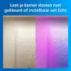 Philips Smart Lighting LED Ampul A60 E27 100W Eşdeğer RGB 2li Paket - Google Home, Alexa, HomeKit ve Matter uyumlu