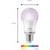 Philips Smart Lighting LED Ampul A60 E27 100W Eşdeğer RGB 2li Paket - Google Home, Alexa, HomeKit ve Matter uyumlu