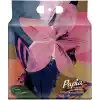 PAPIA Home Asmalı Havlu 250 Yaprak 1 Paket