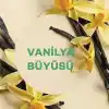 Air Wick Elektrikli Oda Kokusu Yedek Şişe Vanilya