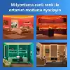 Philips Smart Lighting RGBIC LED Şerit 10 m (Type-C) - Google Home, Alexa, HomeKit ve Matter uyumlu