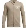 Under Armour Pjt Rck Boys LS FZ HD Q1 Sweatshirt Erkek çocuk