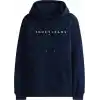 Tommy Jeans TJM REG LINEAR LOGO HOODIE EXT Sweatshirt Erkek