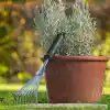 Bosch Bahçe El Tırmığı