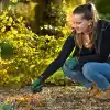 Bosch Bahçe El Tırmığı