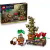 LEGO Harry Potter Hogwarts Bitkibilim Bitkileri 76474
