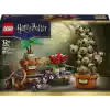 LEGO Harry Potter Hogwarts Bitkibilim Bitkileri 76474