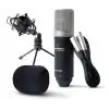 Marantz Professional MPM-1000 - Podcast, akış, şarkı söyleme, tele-çalışma ve oyun için masa standı ve kablolu XLR kondenser stüdyo mikrofonu
