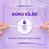 Orkid Günlük Ped Normal Dev Ekonomi Paket 80 Adet Ped