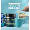 Nutraxin Collagen Powder 300 Gr