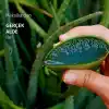 Herbal Essences Yatıştırıcı Aloe İçeren Şampuan 350 ml