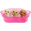 Barbie ve Hayvan Dostları Barbie ve Hayvan Dostları Oyun Seti, köpek, 3 yavru köpek ve aksesuarlar, 3-7 yaş HCK75