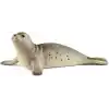 Schleich 14801 Fok Oyuncak Figürü, Çok Renkli