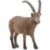 SCHLEICH Oğlak, Oyuncak Figür