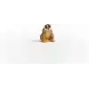 Schleich Yavaş Loris