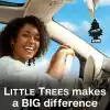 Car Freshner Asma Koku Deri