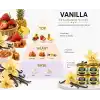 Areon Ken Blister Vanilla Araç Bardaklık Kokusu