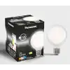 Panasonic Filament Ampul E27 13W 2000LM 6500K Milky