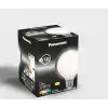 Panasonic Filament Ampul E27 13W 2000LM 6500K Milky