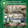 Air Wick Elektrikli Oda Kokusu Kit Büyülü Vanilya