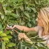 Bosch Home And Garden Yedek Kesici Bıçak (Easyprune için)