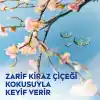 NIVEA Değerli Yağlar İçeren Vücut Losyonu Kiraz Çiçeği ve Jojoba Yağı, 400 ml,Tüm Ciltler,48 Saat Nemlendirici, Hızlı Emilir