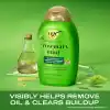 OGX Rosemary Mint Biberiye ve Nane İçeren Arındırıcı Şampuan 385 ml