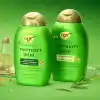 OGX Rosemary Mint Biberiye ve Nane İçeren Arındırıcı Şampuan 385 ml