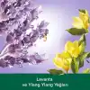 Palmolive Aroma Sensations So Relaxed Ylang Ylang Öz Yağı ve İris Özü ile Sıvı El Sabunu (700 ml)