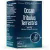 Orzax Ocean Tribulus Terrestris 500 Mg 60 Kapsül