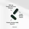 Orzax Ocean Tribulus Terrestris 500 Mg 60 Kapsül