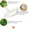 Cosmed Tırnak Dokusunu ve Kütikül Yapısını Destekleyen Bakım Balmı Nail & Cuticle Balsam 15 ml