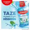 Colgate Plax Nane Ferahlığı Plağa Karşı Alkolsüz Ağız Bakım Suyu 500 mL