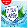 Colgate Plax Nane Ferahlığı Plağa Karşı Alkolsüz Ağız Bakım Suyu 500 mL