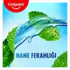 Colgate Plax Nane Ferahlığı Plağa Karşı Alkolsüz Ağız Bakım Suyu 500 mL