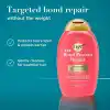 OGX Bond Protein Repair Bağ Onarıcı Şampuan 385 ml