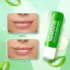 Vaseline Lip Therapy Dudak Bakım Kremi Aloe Vera 4.8 gr